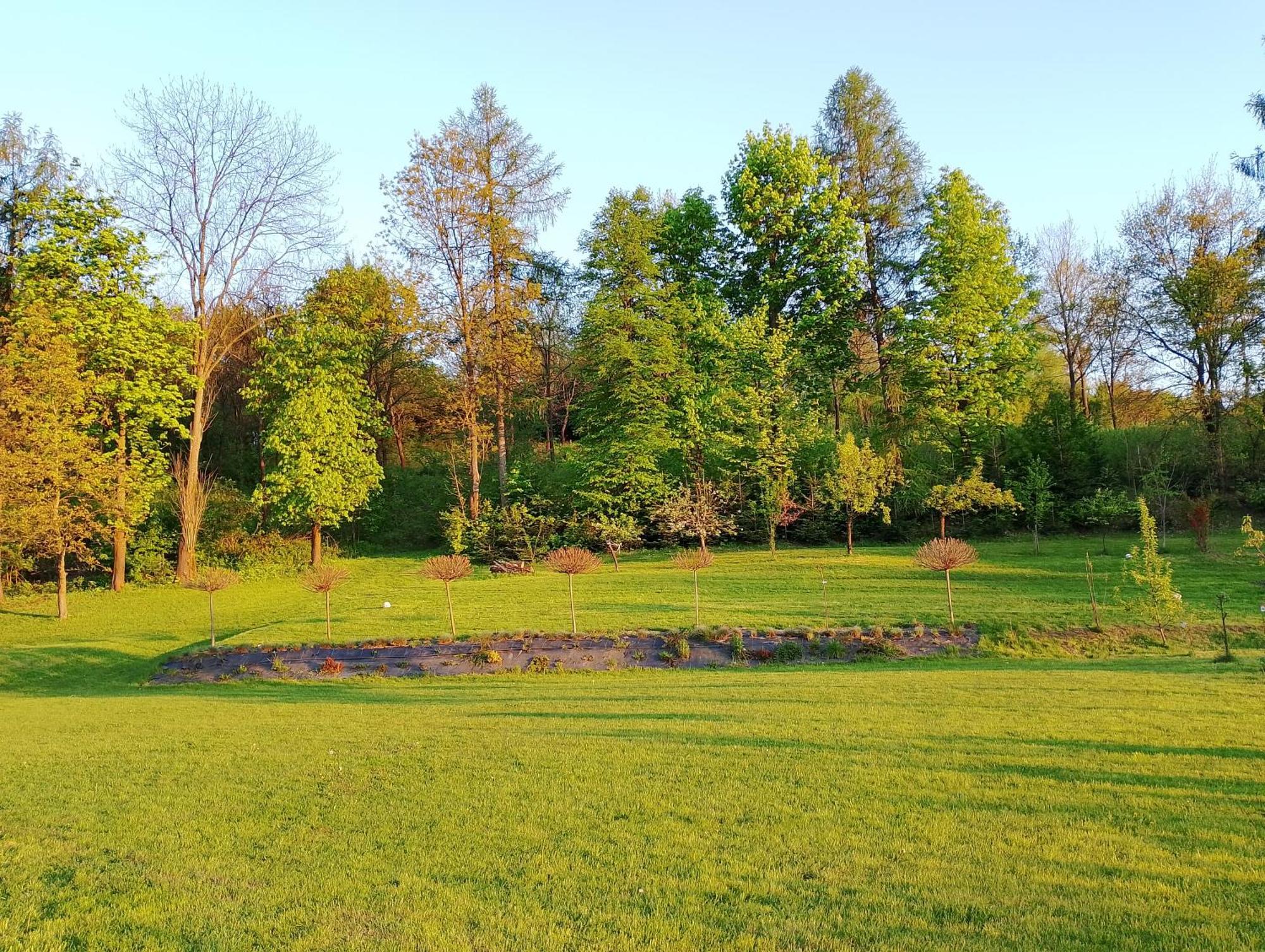 Apartament Z Ogrodem I Przemyśl Esterno foto