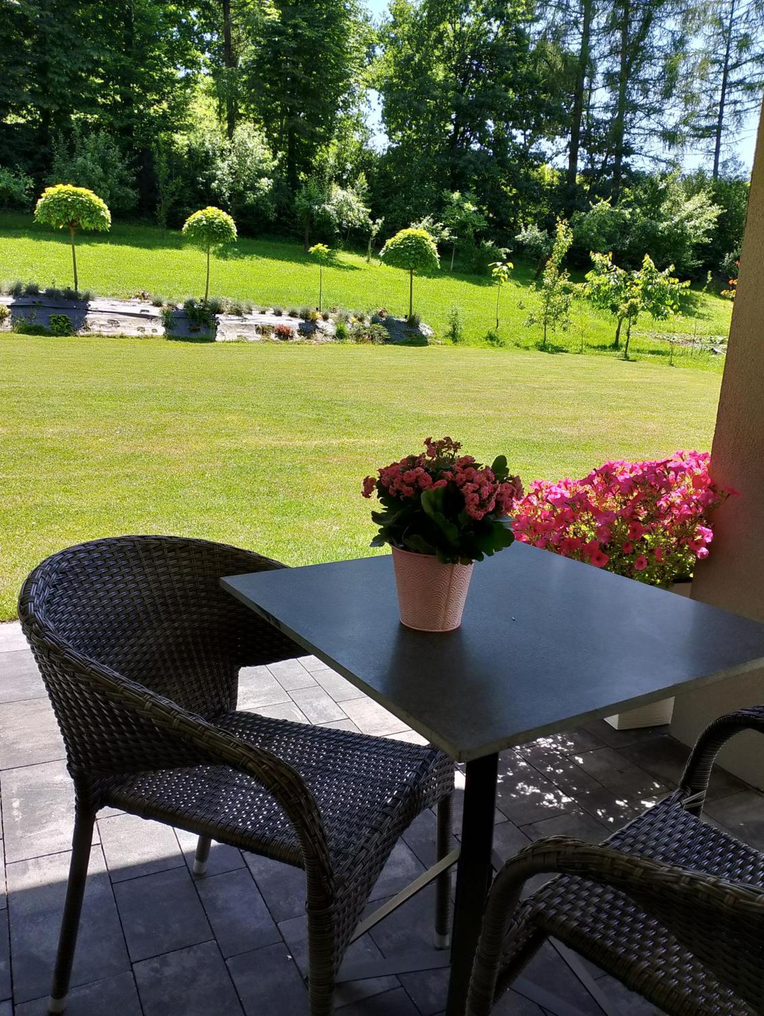 Apartament Z Ogrodem I Przemyśl Esterno foto